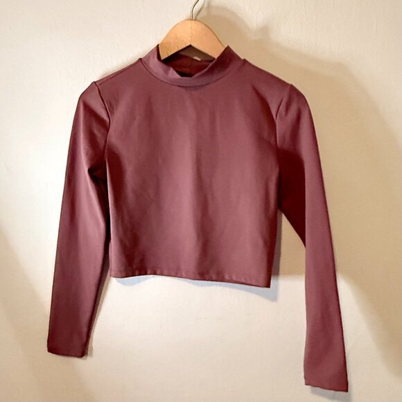 Rose Colored Long Sleeve Crop Top with Mandarin Collar - Picture 2 of 4